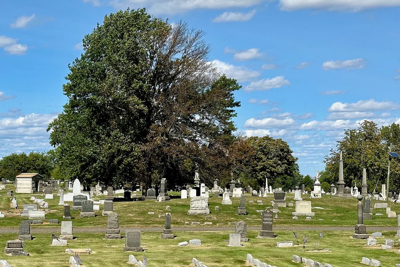 A wide view of the grounds at Alpine Cemetery under a large tree.