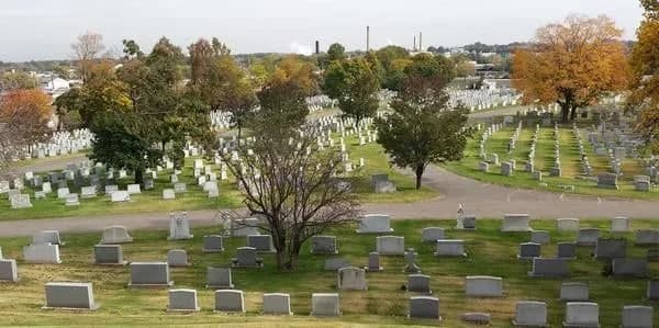 Rows of headstones across the hillside at Calvary Cemetery, among autumn trees.