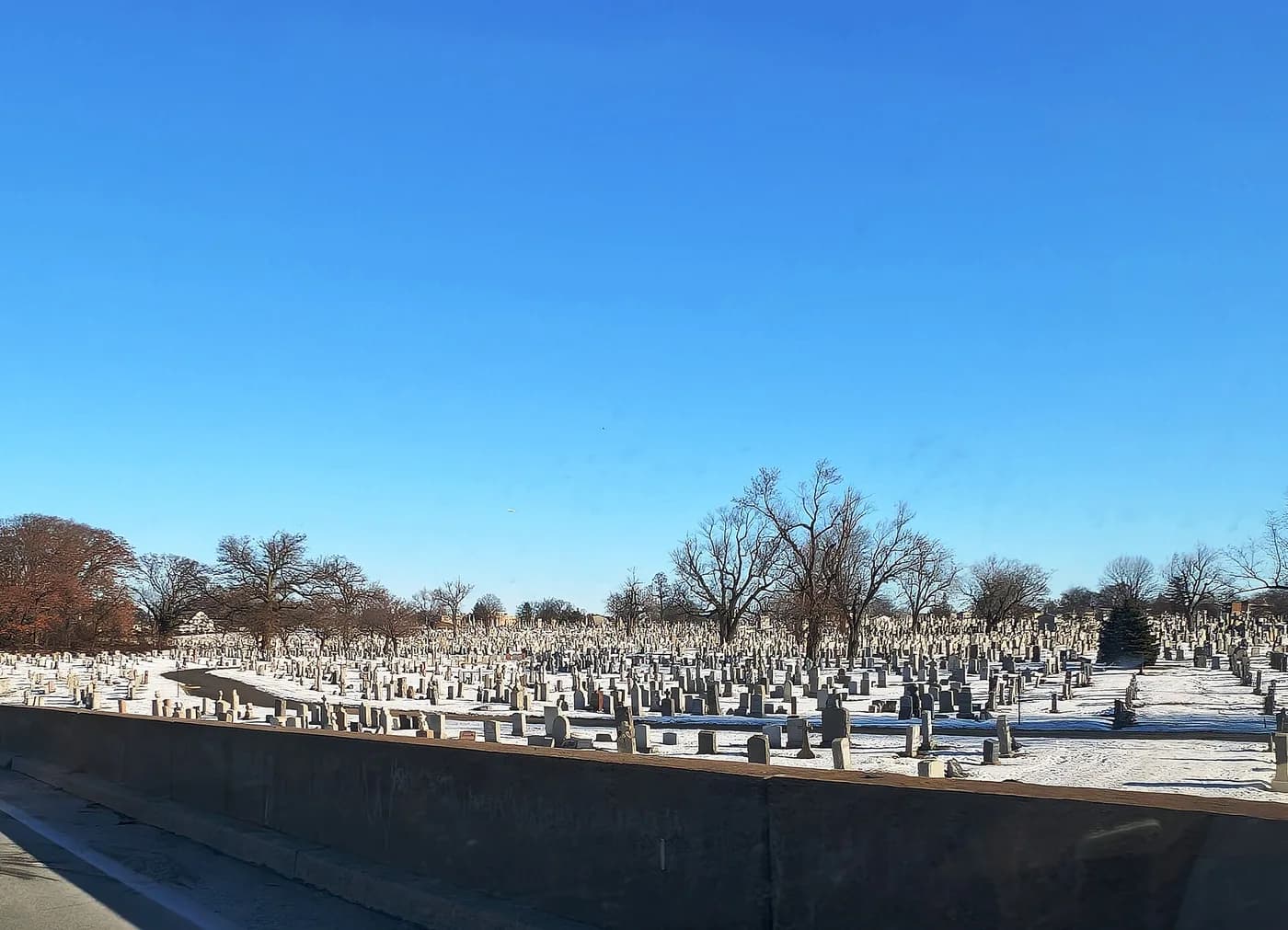 A wide view across the grounds of Holy Sepulchre Cemetery.