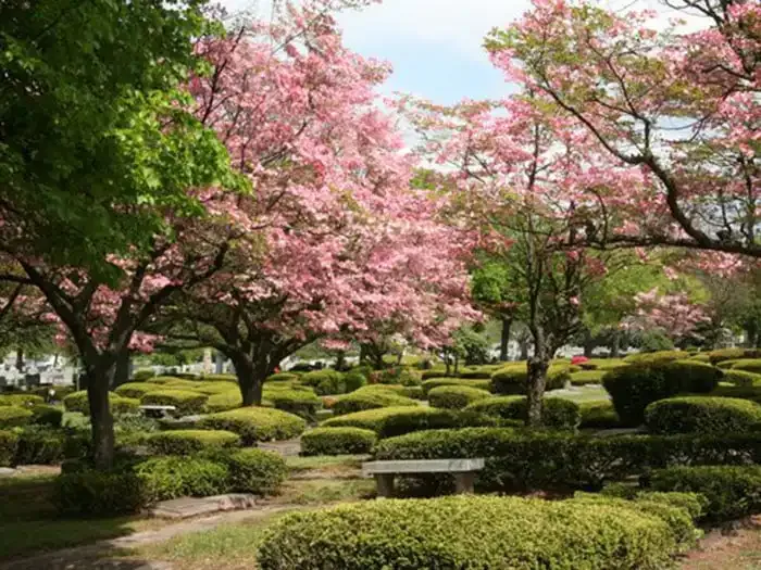 The grounds at King Solomon Cemetery.