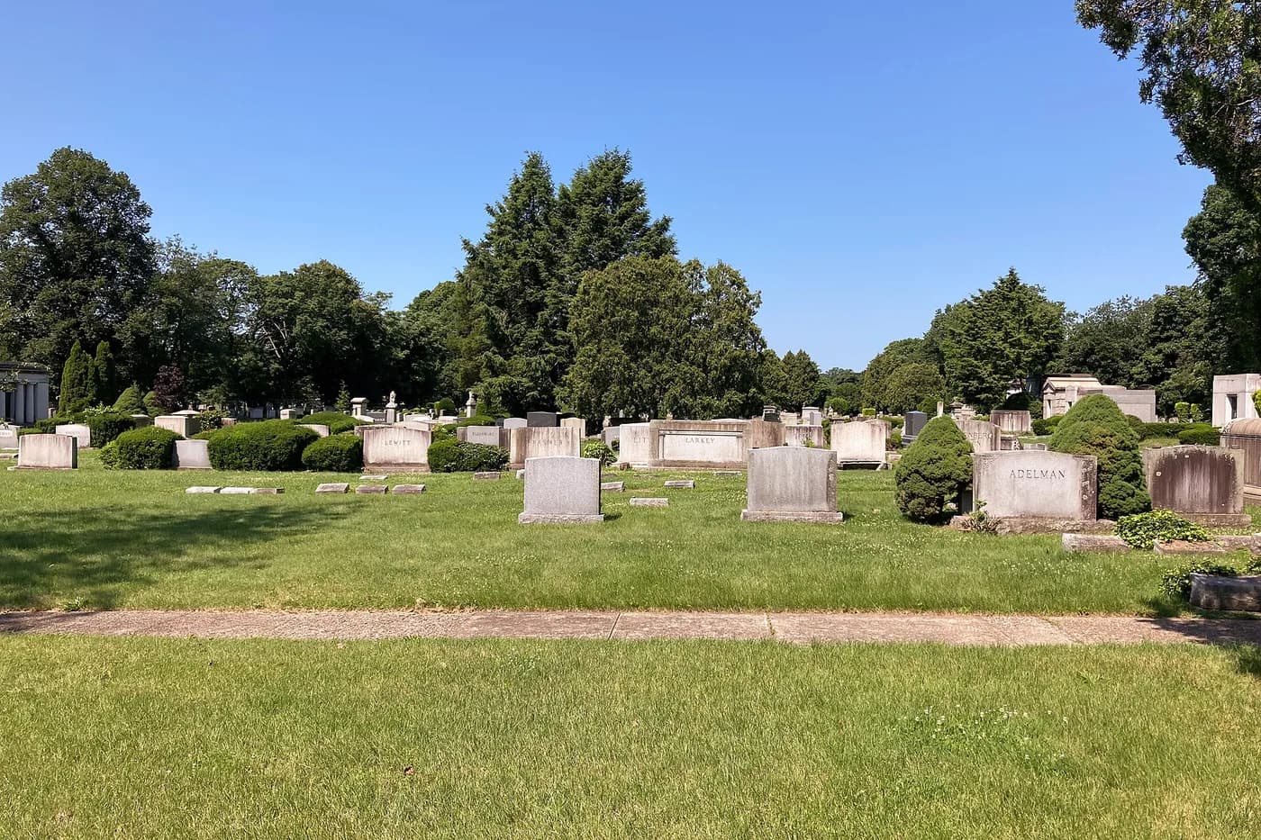 Rows of headstones on an open lawn at Oheb Shalom Cemetery, with trees behind.