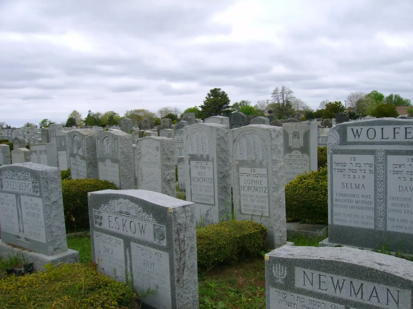 The grounds at Old Montefiore Cemetery.