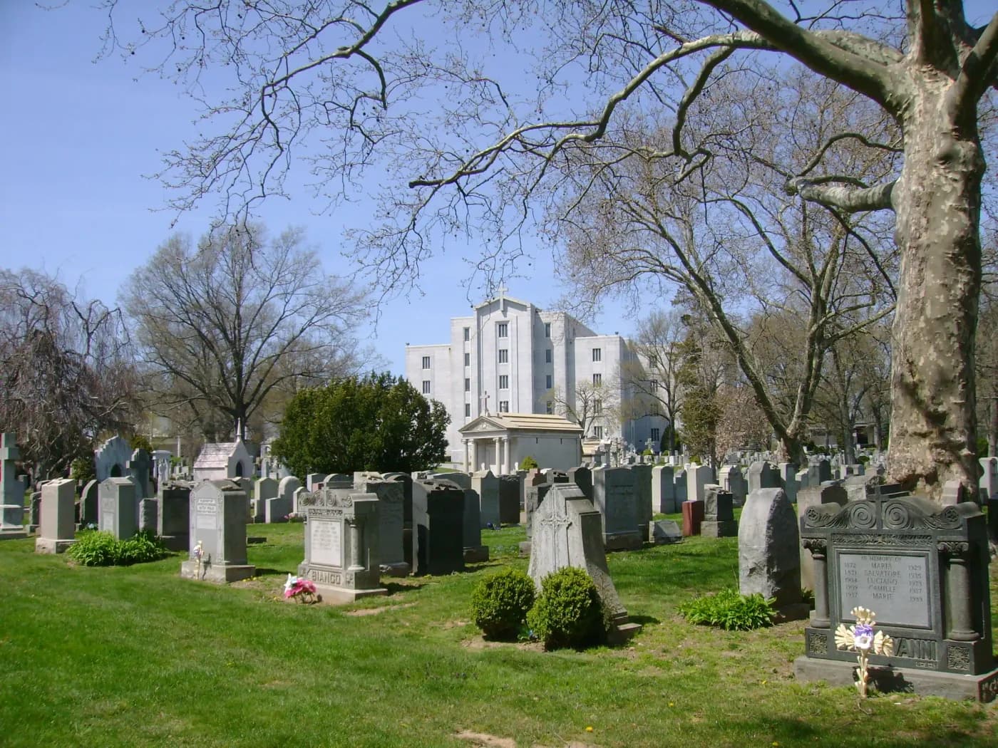 The grounds at St. John's Cemetery Middle Village.