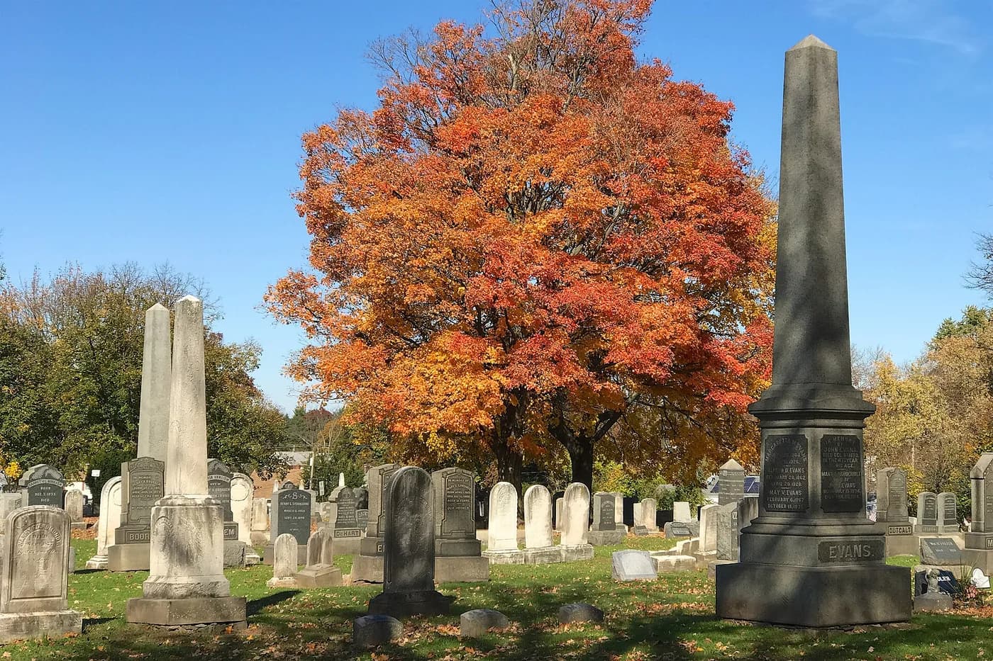 Obelisks and headstones beneath an autumn tree at Van Liew Cemetery.