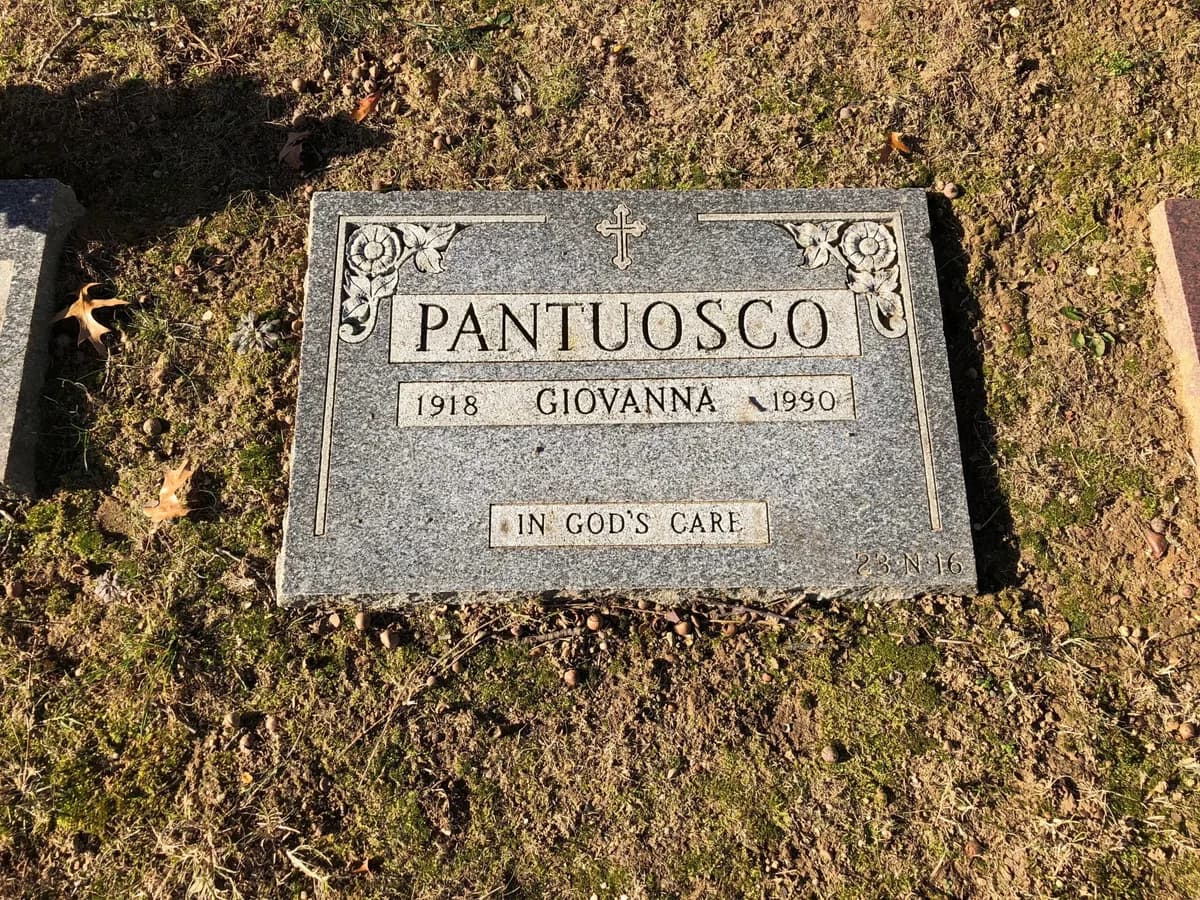 Flat grey granite marker with a small cross above the family name and roses in the corners.