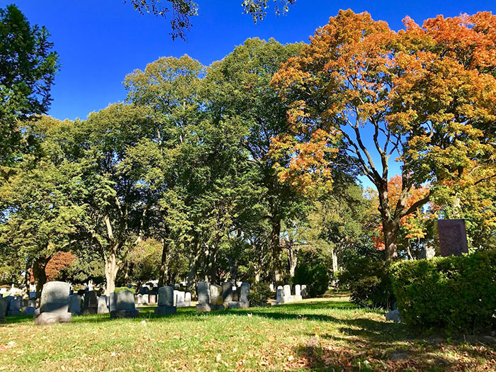 Flushing Cemetery