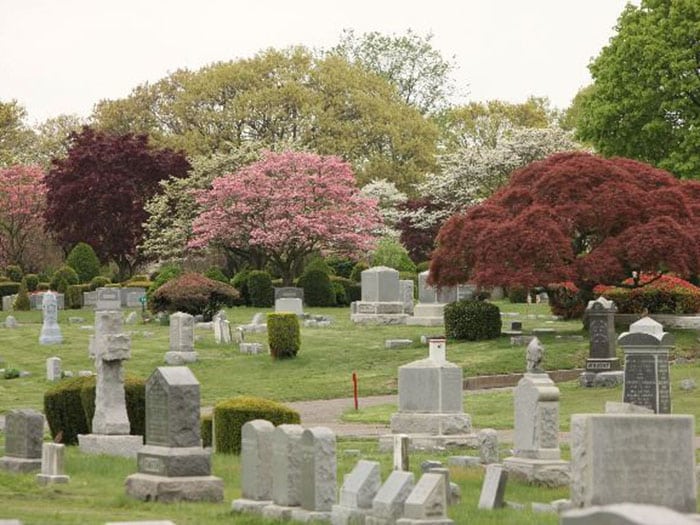 Flushing Cemetery