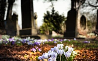 The Benefits of Bronze Plaques for Memorials