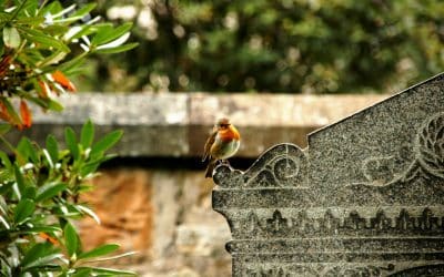 10 Headstone Design Ideas: Crafting Lasting Memorials