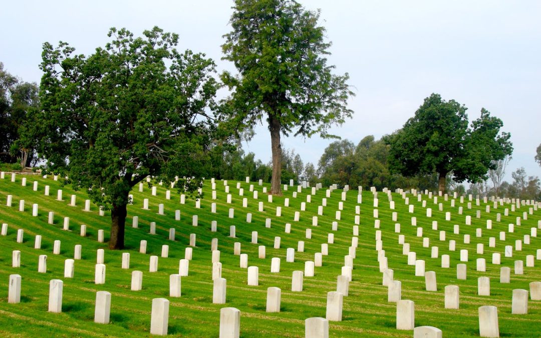Top 5 Best Practices in Cemetery Security