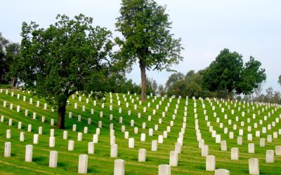 Top 5 Best Practices in Cemetery Security